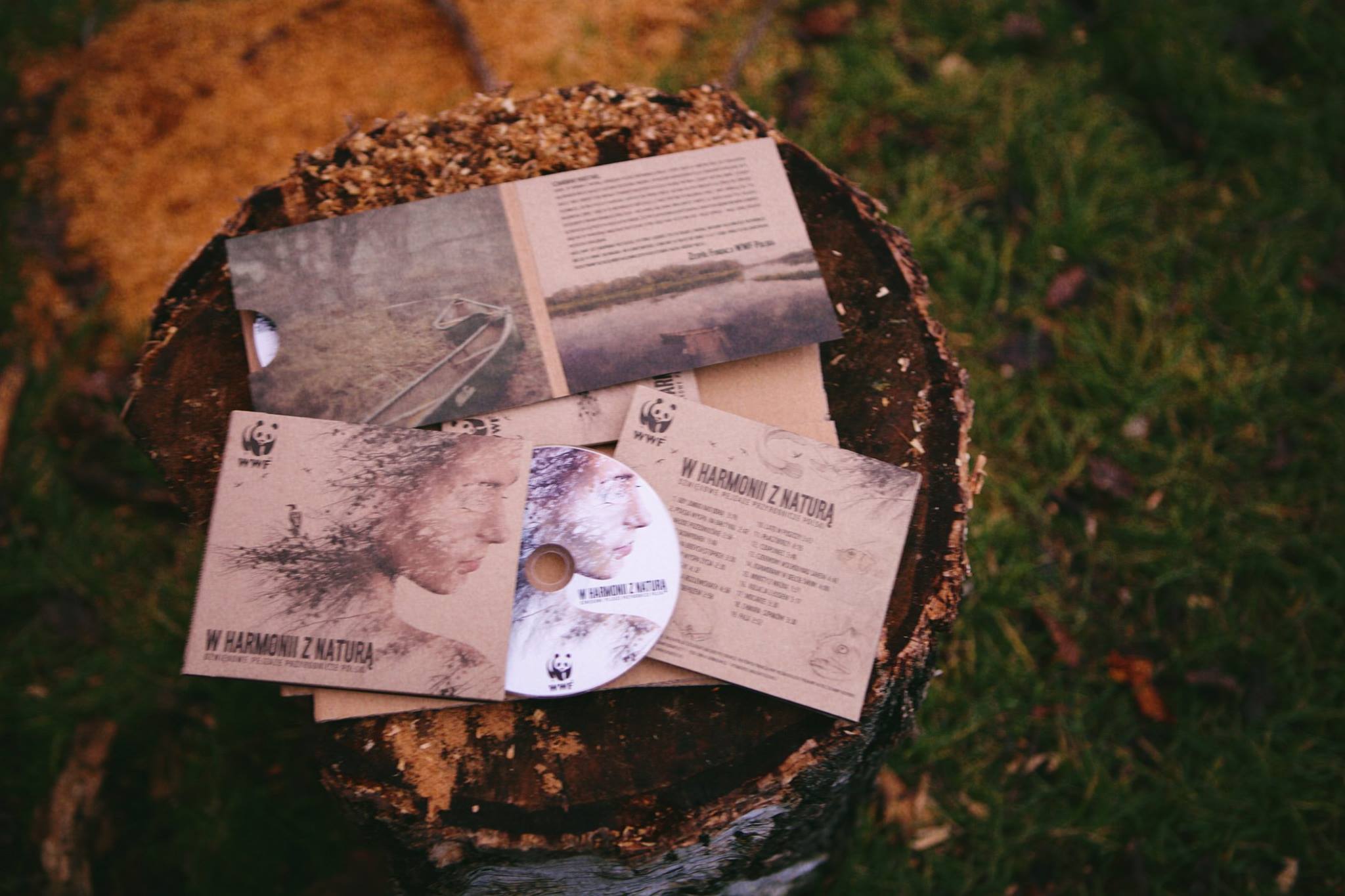 25532056_1626802317365449_6213437494323760103_o