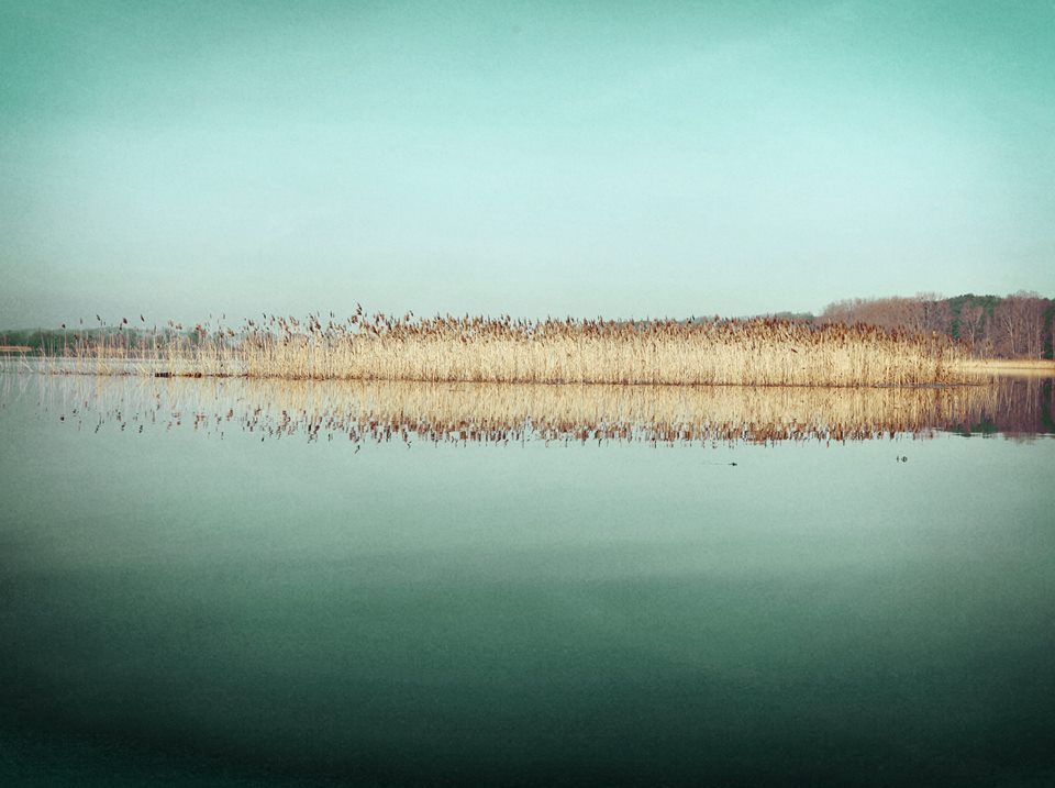 17499571_1352696318109385_3590113813836348312_n