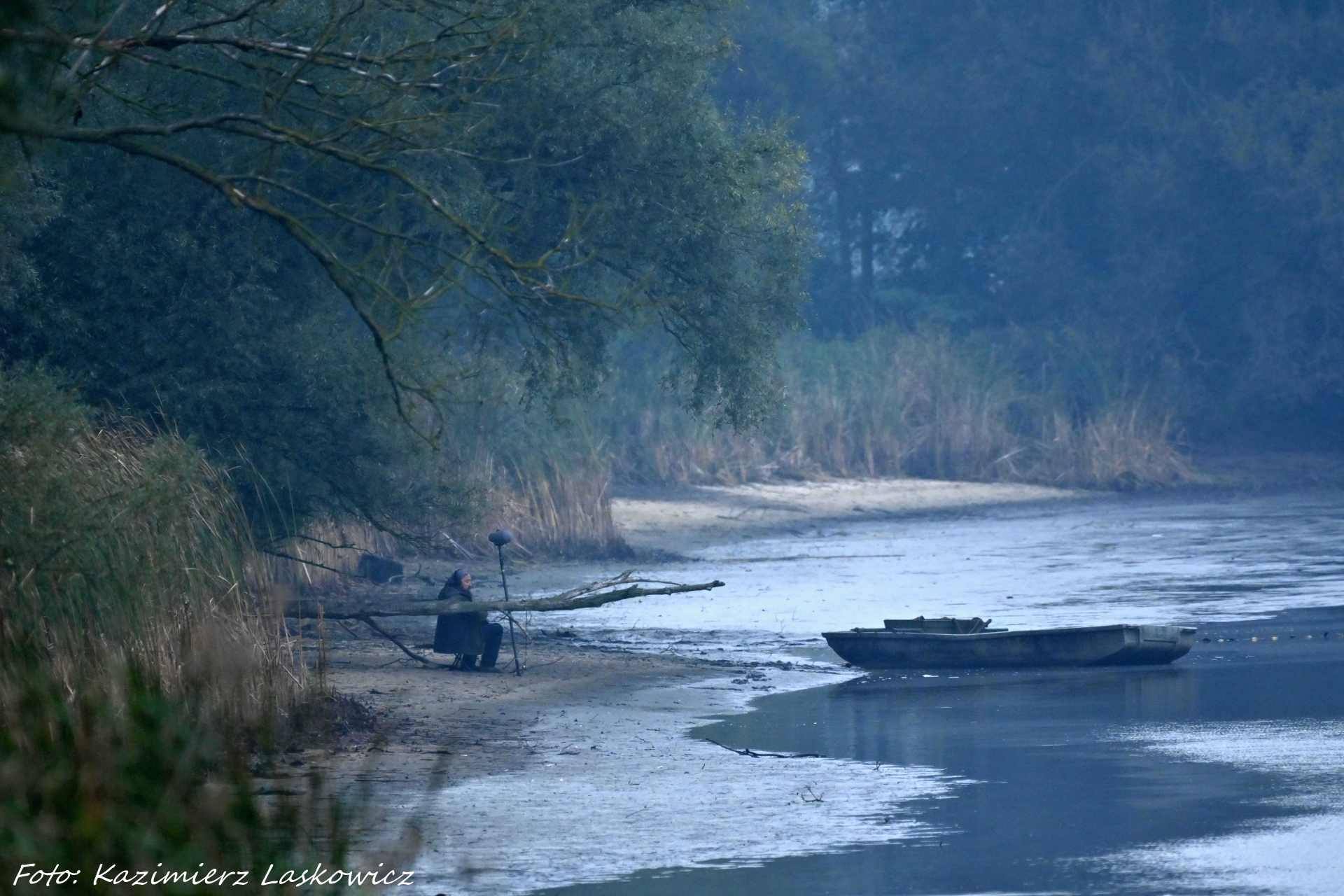 120849078_428428018136148_4958017133294737620_n